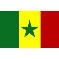Reprezentacja Senegalu