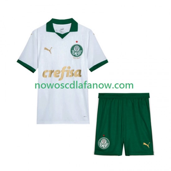 Koszulka Palmeiras Dziecięca Wyjazdowy Komplet 2024 Krótkie Rękawy