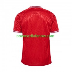 Koszulka Reprezentacja Danii Męska Domowy Komplet Euro 2024 Krótkie Rękawy