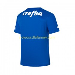 Koszulka Palmeiras Bramkarskie Męska Domowy Komplet 2023-2024 Krótkie Rękawy