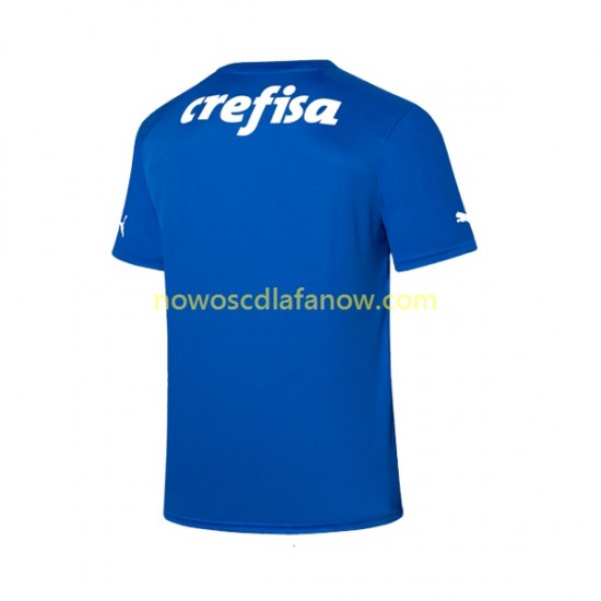 Koszulka Palmeiras Bramkarskie Męska Domowy Komplet 2023-2024 Krótkie Rękawy