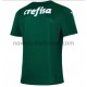 Koszulka Palmeiras Domowy Komplet 2021-2022 Krótkie Rękawy