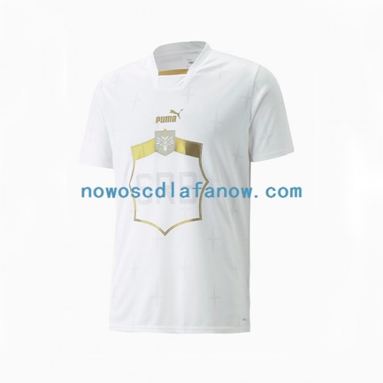 Koszulka Reprezentacja Serbii Męska Wyjazdowy Komplet World Cup 2022 Krótkie Rękawy