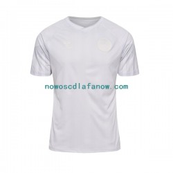 Koszulka Reprezentacja Danii Męska Wyjazdowy Komplet World Cup 2022 Krótkie Rękawy